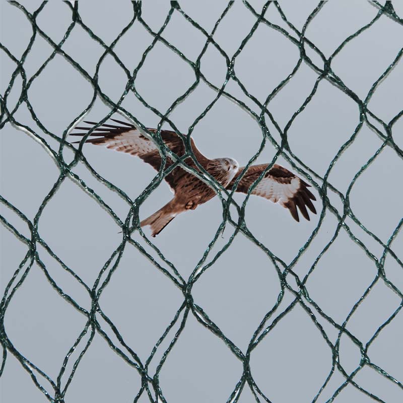 Kuş önleme ağlarının malzeme seçimleri ve avantajları ve dezavantajları nelerdir?