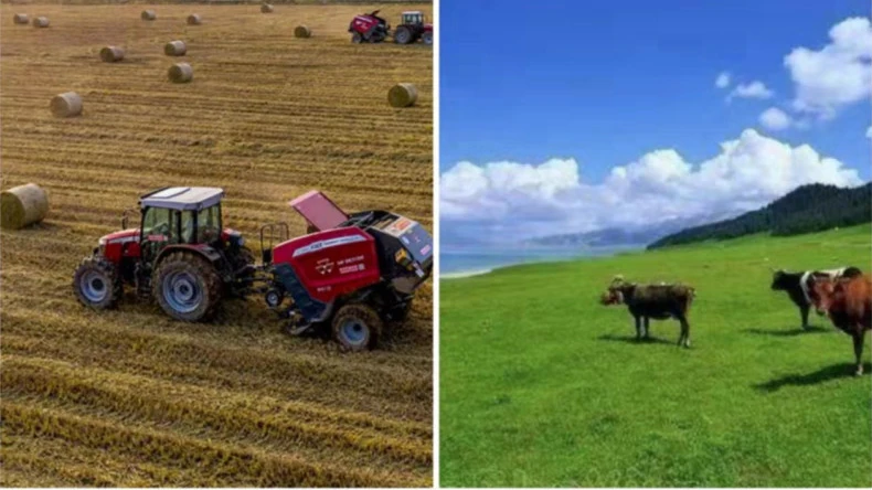 Balya ağı sargısının tarımsal faaliyetlerde uygulanması