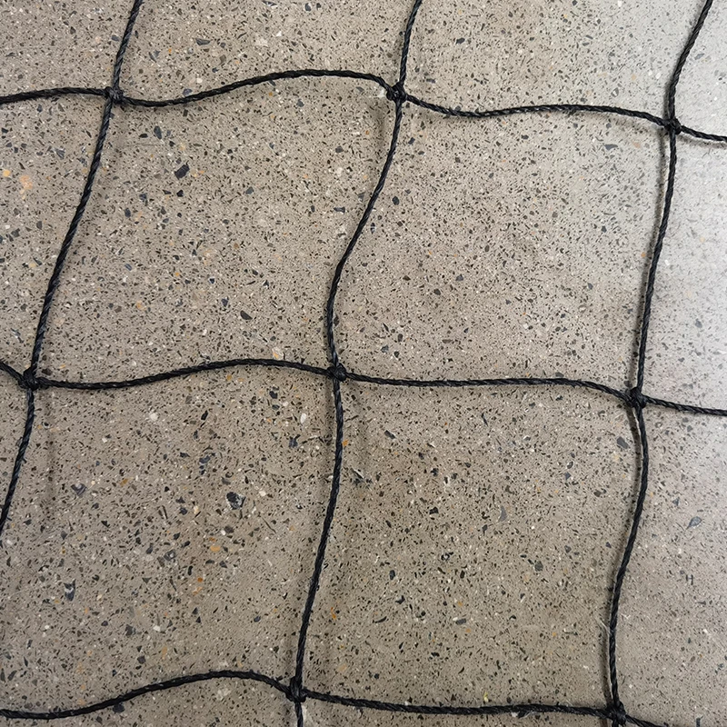 Kriket ağlarının rolü