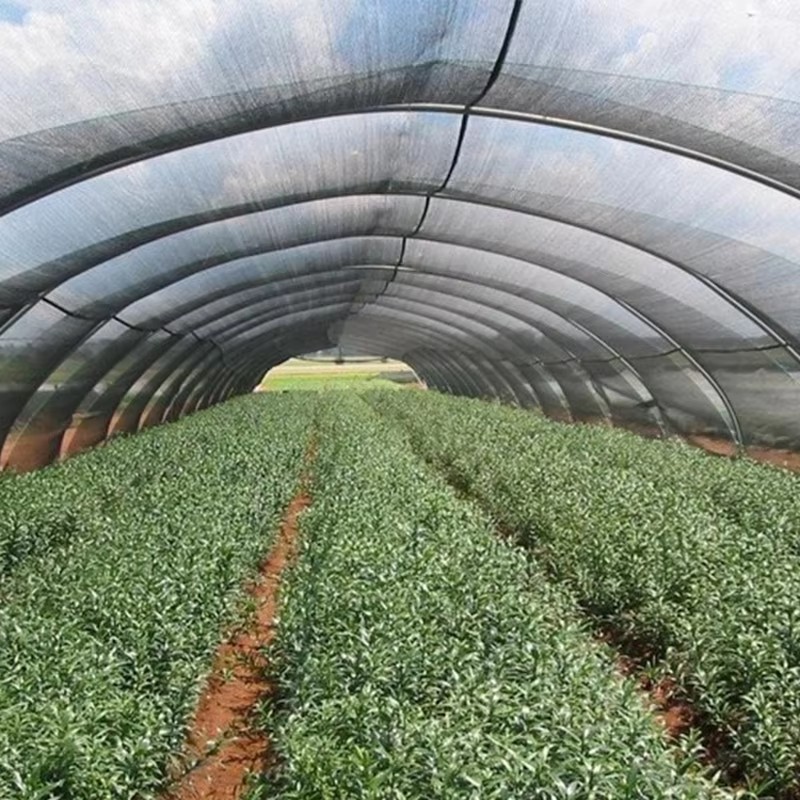 Gölge bezinin soğutma etkisi iyi mi?