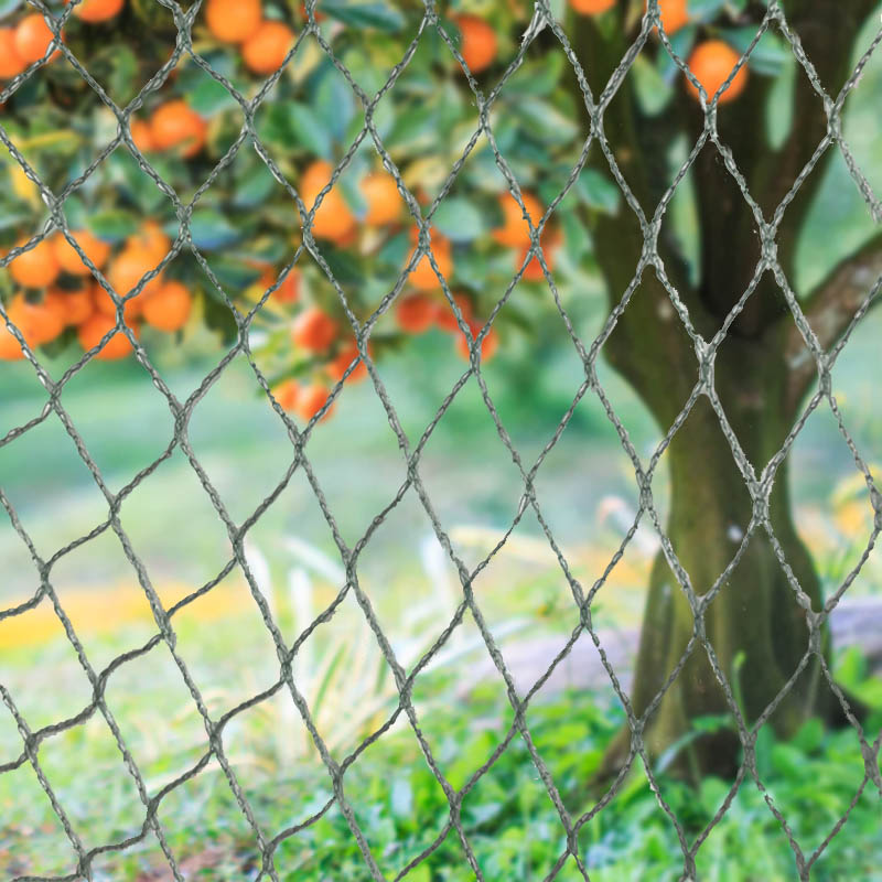 Ürünlerinizi, Mülkünüzü ve Yatırımınızı Ağır Hizmet Kuş Ağlarımızla Koruyun!