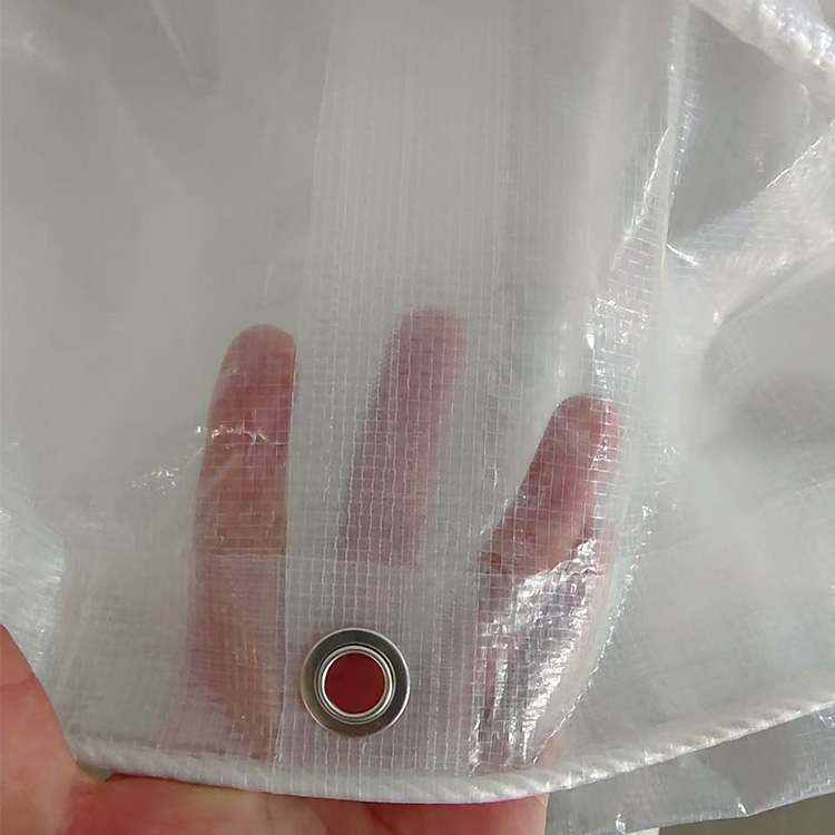 Ağır Hizmet Tipi Şeffaf PE Tente