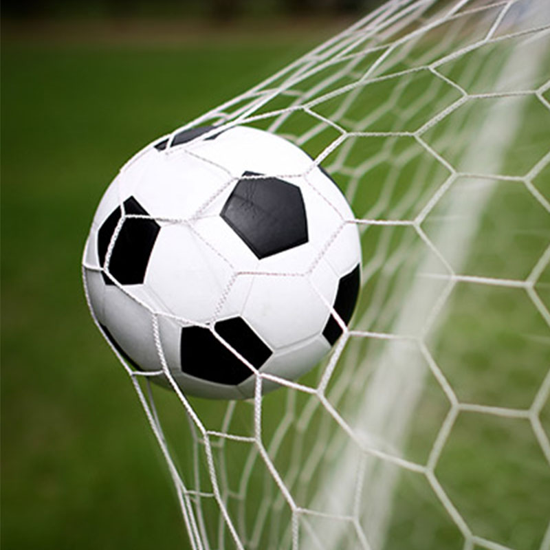 Futbol Sahası Ağı